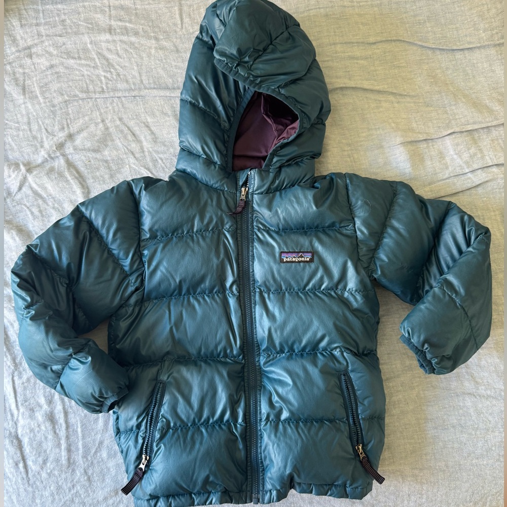Patagonia Teal and Purple Jacket